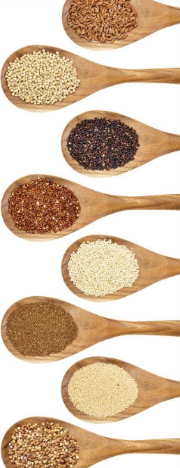 Alsefa Bakliyat warehouse facility