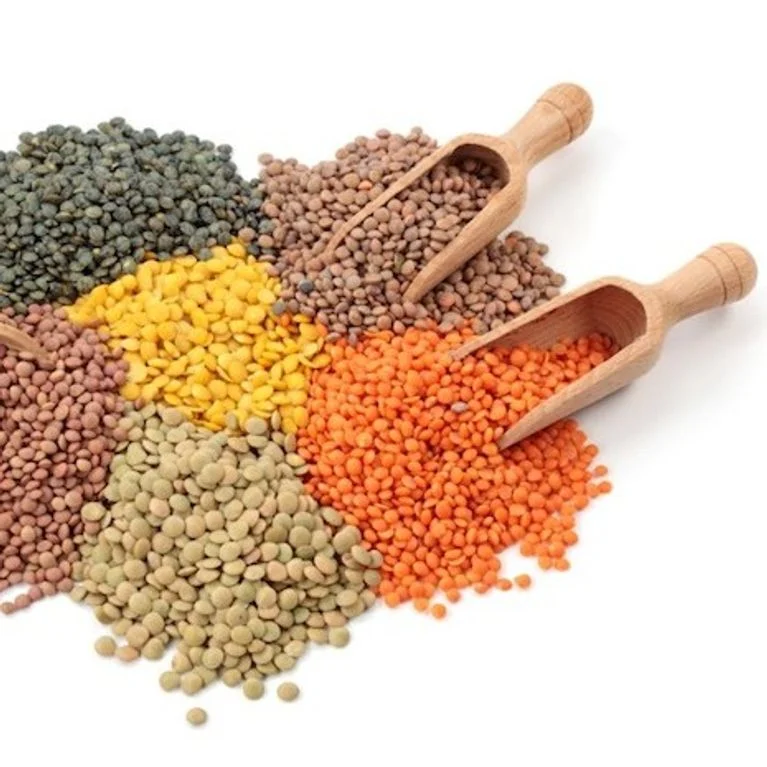 Premium Lentils